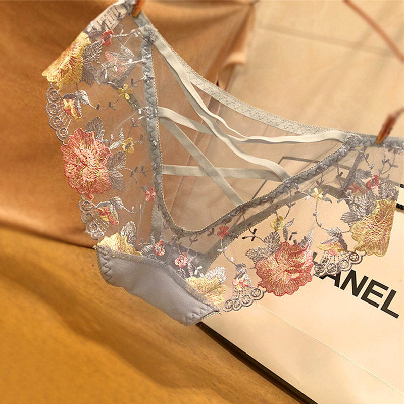 Elegant Embroidery Sheer Lace Underwear T105