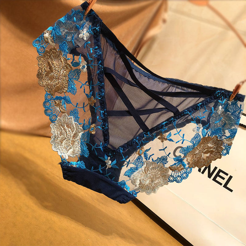 Elegant Embroidery Sheer Lace Underwear T105