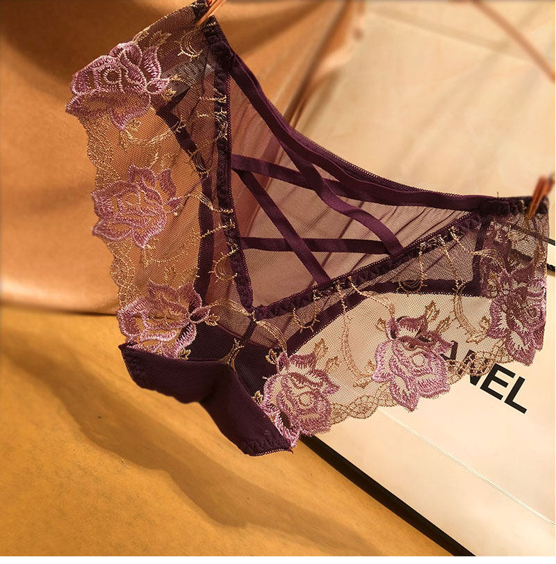 Elegant Embroidery Sheer Lace Underwear T105